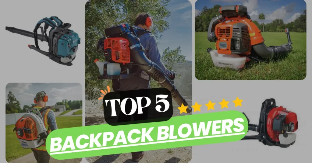 Best Backpack Blowers