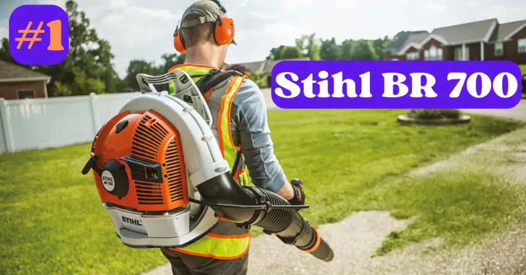 Stihl BR 700