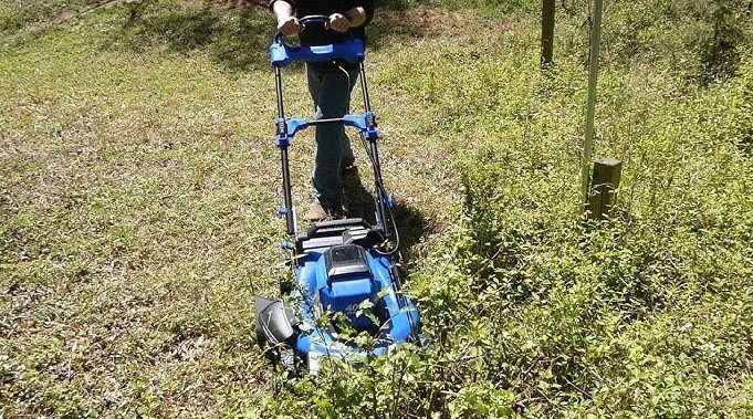 Kobalt Lawn Mower the Future of Lawn Care
