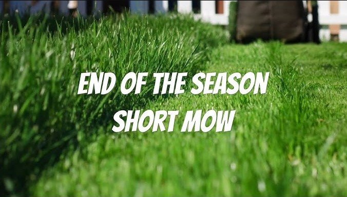 when is a good time to mow the lawn