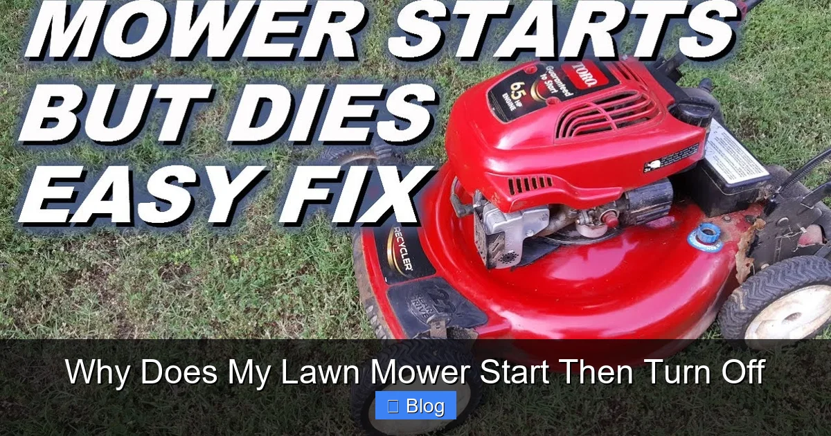 Air Filters: Helping Your Engine Breathe