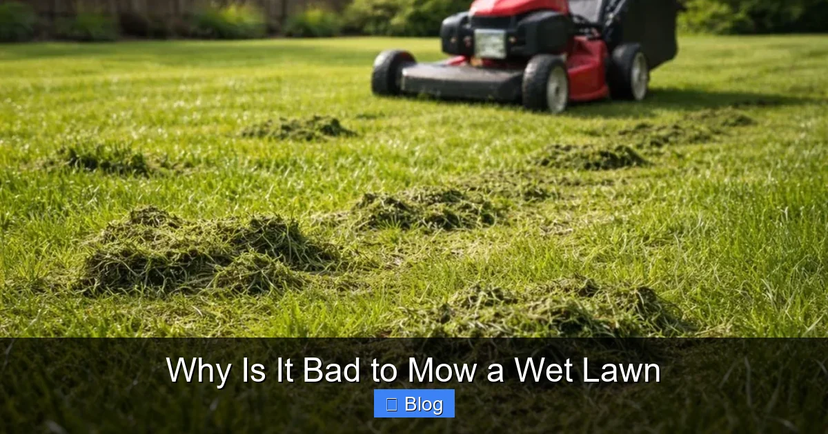 Why Is It Bad to Mow a Wet Lawn