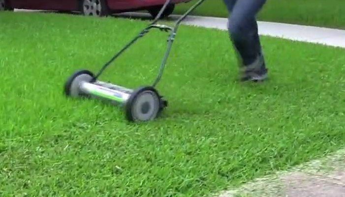 How to Use Push Lawn Mower