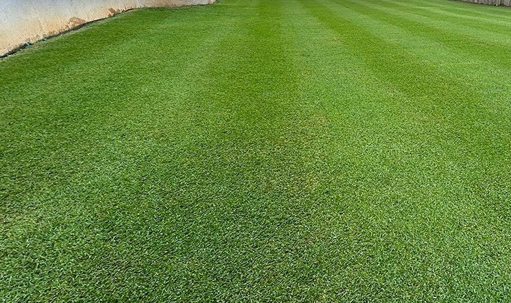 Is It Good to Water Lawn After Mowing