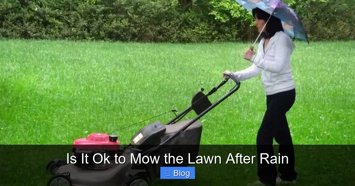Is It Ok to Mow the Lawn After Rain