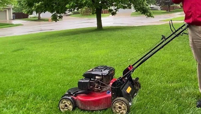 is it ok to mow the lawn after rain