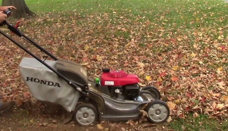 is mowing leaves good for your lawn