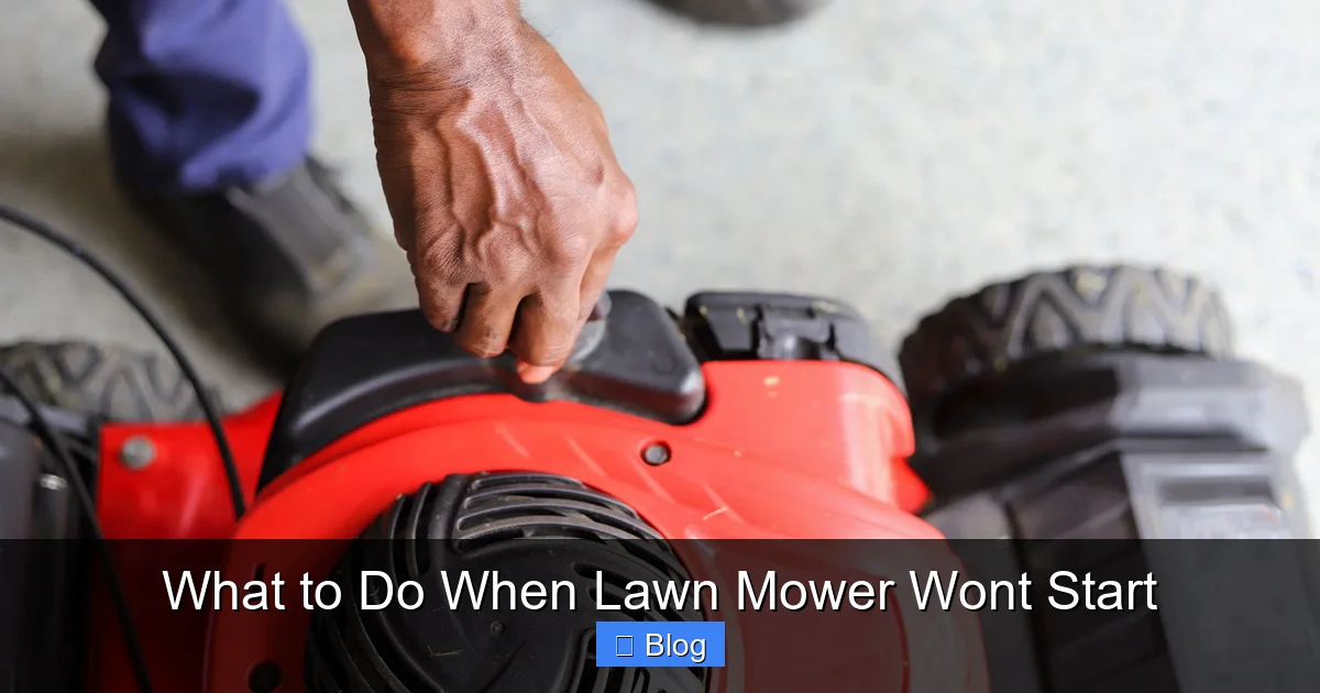 What to Do When Lawn Mower Wont Start